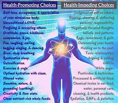 The Ultimate Guide To Amazon Medical Equipment Empowering Your Health Journey