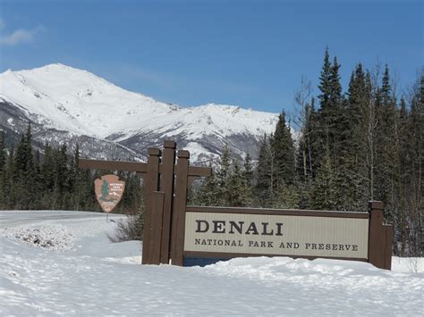 Exploring Alaskas Denali National Park In Winter Snowshoe Magazine