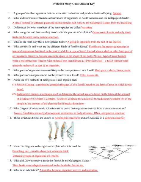 Evolution Study Guide Answer Key 1