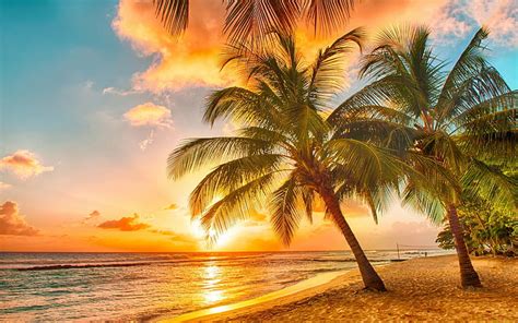 Caribbean Beach Palmtrees Cloud Sunset Sky Sea Hd Wallpaper Peakpx