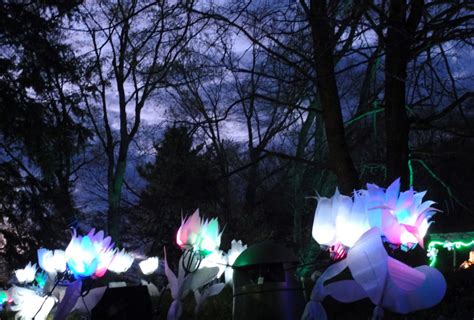 Lightscapes Illuminated Flowers And Fairies In Hudson Valley Mommy