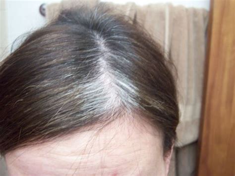 It may not always be boxed dye. Best Hair Color for Gray Hair Coverage, Natural Dye, at ...