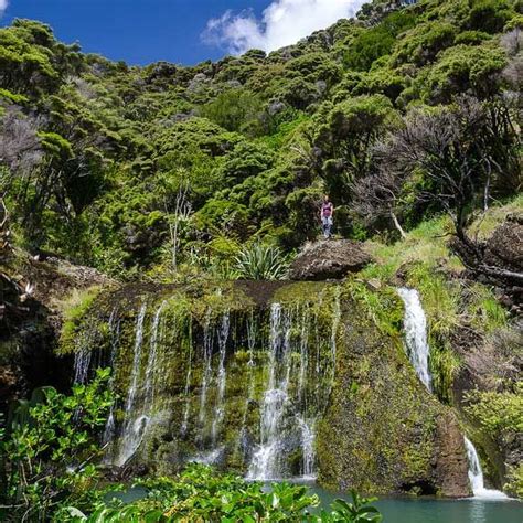 Discover Hidden Gems Around The Region From Secret Auckland Islands