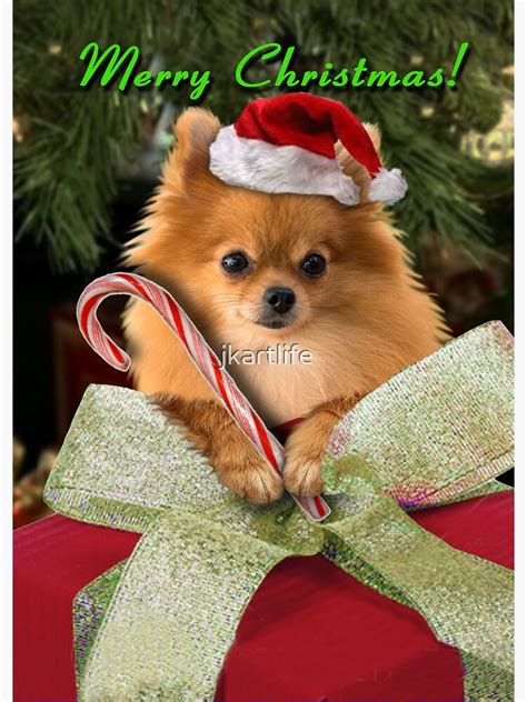 Merry Christmas Pomeranian Sticker For Sale By Jkartlife Redbubble