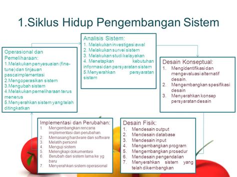 Contoh Proposal Pengembangan Sistem Informasi Akuntansi Analisis