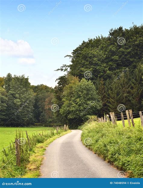 Idyllic Country Road In The Sun Stock Photo Image Of Lane Dirt 74048594
