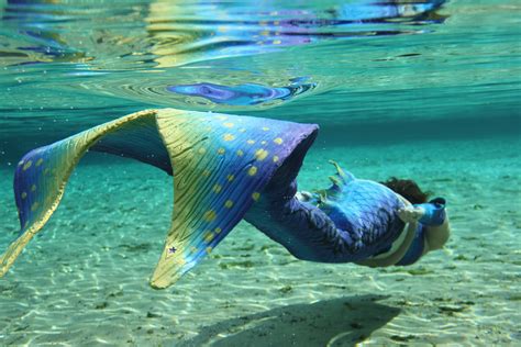 Real Mermaid Celeste From Florida Her Story And How She Became A Mermaid