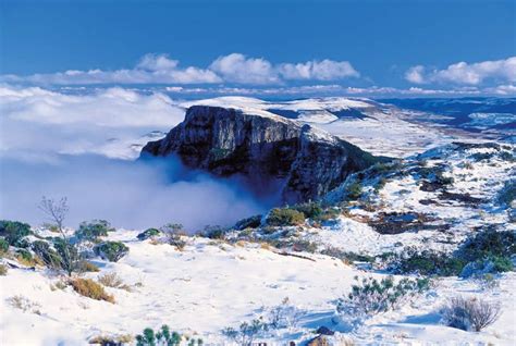 Additionally, it is the 9th largest settlement, with 295 municipalities. Descubra Urubici: um tesouro da Serra Catarinense