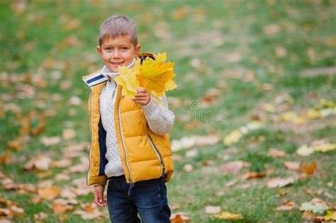 Cute Boy With Autumn Leaves Stock Image Image Of Fall Orange 46084773