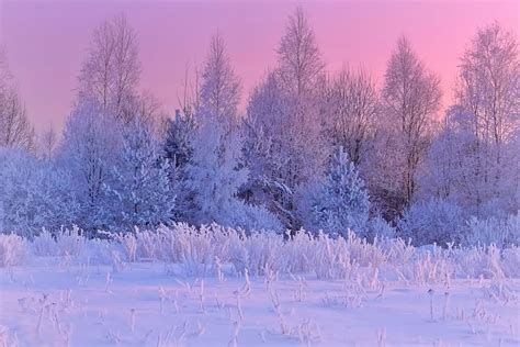 Frozen Kingdom Winter Scenes Photo Global Weather