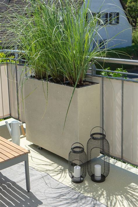 Balkon Sichtschutz mit Pflanzen Pampasgras in Pflanzkübeln Blog