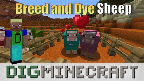 How To Breed And Dye Sheep In Minecraft Youtube
