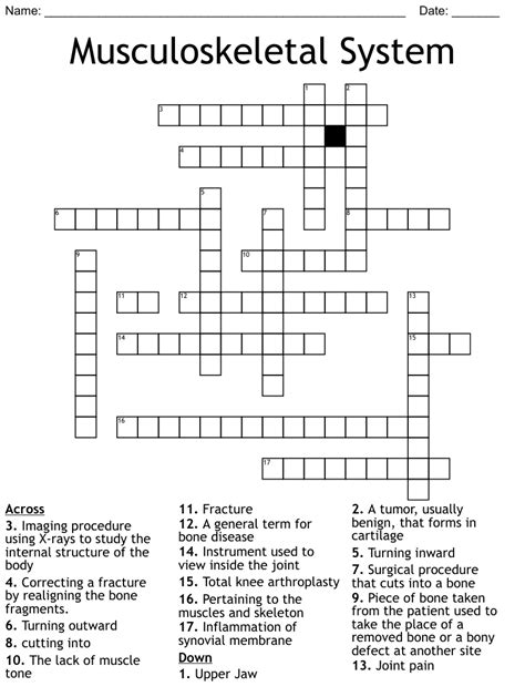 Bone Anatomy Crossword Skeletal System Crossword With Diagram