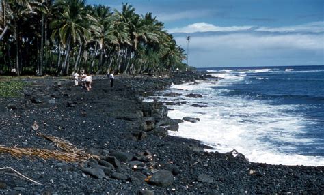 Isla grande de tierra del fuego: Hawaii's Big Island Declares Emergency Over Dengue Fever ...