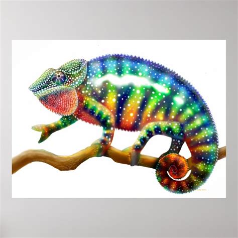 Colorful Panther Chameleon Print Zazzle