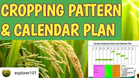 Cropping Pattern And Calendar Plan Explorer101 Youtube