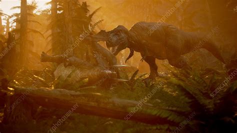 T Rex Hunting Triceratops Illustration Stock Image C0506513