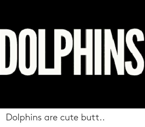 Dolphins Are Cute Butt Butt Meme On Me Me
