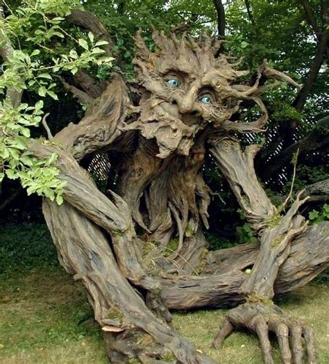 15 Amazing Weird And Wonderful Features In Your Garden Page 15 Of 19