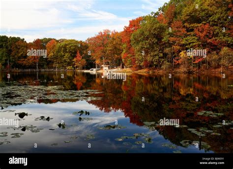 Autumn Surrounds Lake Orbach In Staten Islands Greenbelt Stock Photo