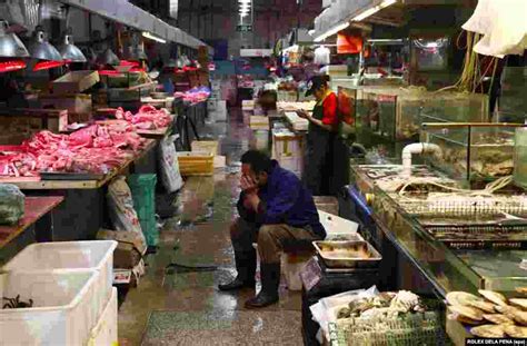 Coronavirus Cradle Inside Chinas Controversial Wet Markets
