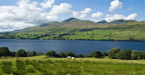 Find the best scotland cottages and holiday cottages, or log cabins to rent. Self catered holiday rentals inTayside, Scotland | Country ...