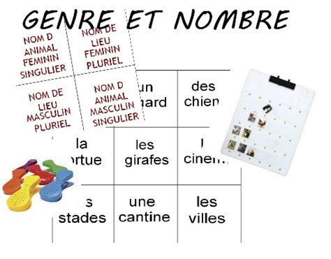 Genre Et Nombre Des Noms Etude De La Langue Ce1 Ce2 La Salle Des