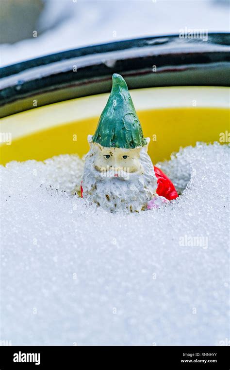 Garden Gnome In Snow Stock Photo Alamy
