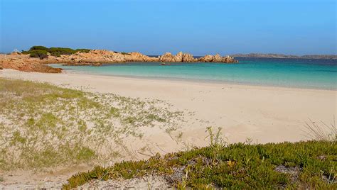 74 likes · 1 talking about this. isola-di-budelli_la-spiaggia-rosa - Paolo Succu