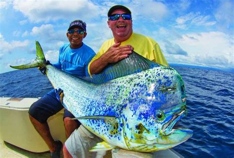The Anglers Guide To Panama Sport Fishing Fishing Pictures Marlin
