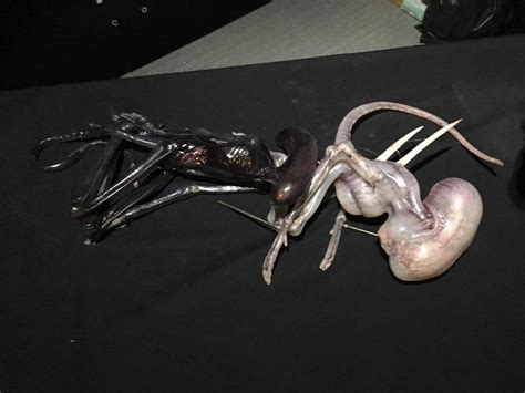 Neomorph concept art for ridley scott's alien covenant. A:C Chestburster And Backburster Practical Puppets ...
