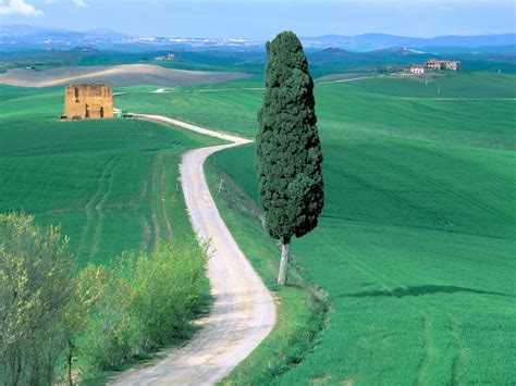 Country Road Tuscany Italy Picture Country Road Tuscany Italy Photo