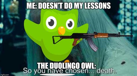 Duolingo Memes GIFs Imgflip