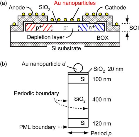 A Schematic Cross Sectional Image Of Lateral Pin Soi Photodiode With