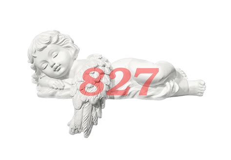 What Does It Mean To See The 827 Angel Number Thereadingtub