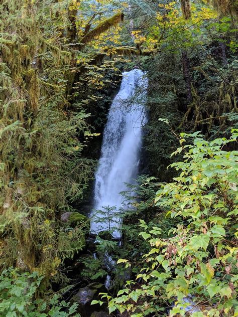 Fsolympicmerriman Falls At Merriman Creek Along The Quin Flickr