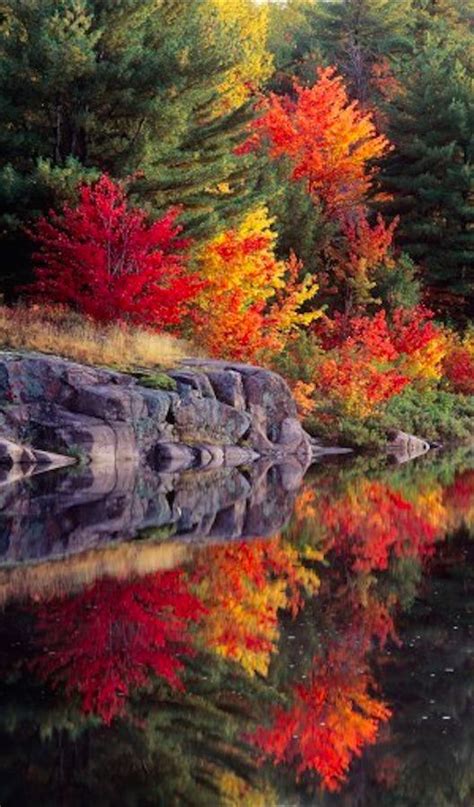 Autumn Reflections At Killarney Provincial Park In Central Ontario
