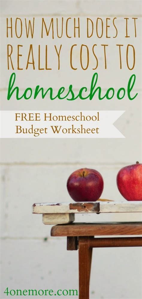 How Much Does It Really Cost To Homeschool Homeschool With Moxie