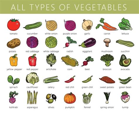 Alphabetical List Of Vegetables Different Types