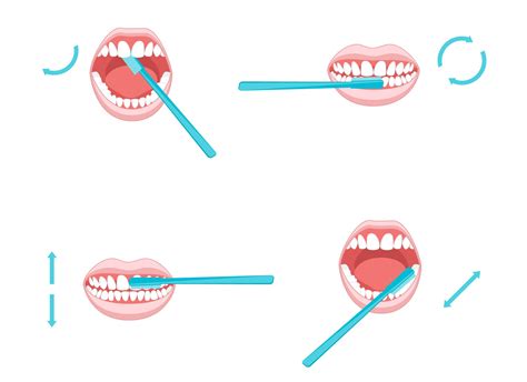 How To Properly Brush Your Teeth Oral Surgery Dc