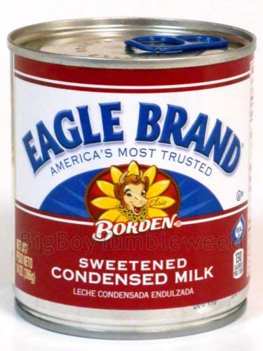 Borden S Sweetened Condensed Milk Ice Cream Recipe Bryont Blog