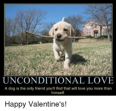 Unconditional Love A Dog Is The Only Friend Youll Find