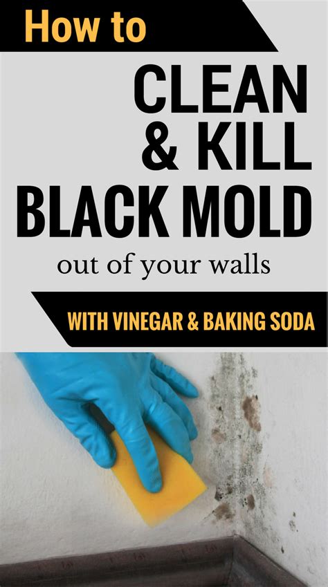 How To Clean And Kill Mold Off Your Walls With Vinegar And Baking Soda