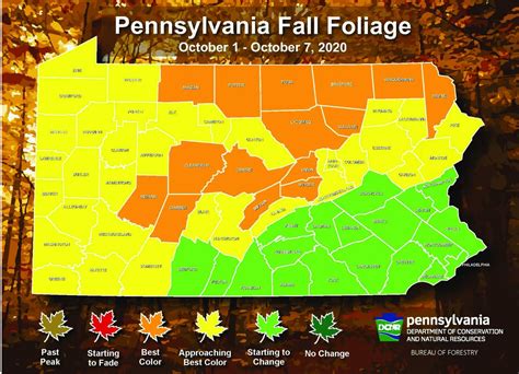 Fall Foliage Is Coming On Brilliant But Fast State Report