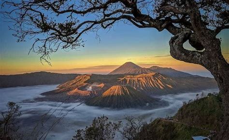 5 Wisata Populer Di Gunung Bromo Panoramanya Menakjubkan Saluran8com