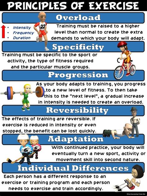 Pe Poster Principles Of Exercise Physical Education Health And