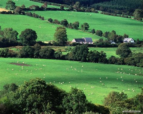 Download Green Irish Countryside Ireland Wallpaper