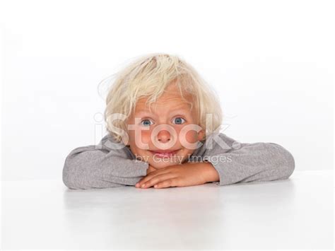 Cute Young Boy Stock Photo Royalty Free Freeimages