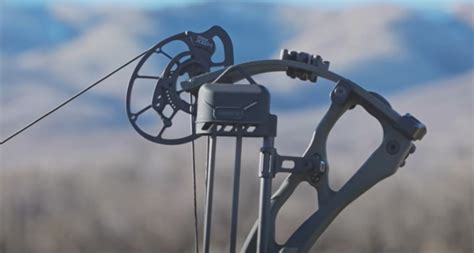 Best Compound Bow Brands 7 Manufacturers Shooting Clean Archery
