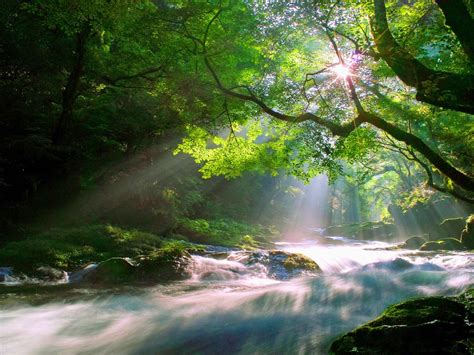 Streamyard is a live streaming studio in your browser. Hd Stream Wallpaper; Stream Wallpaper 432478 ...